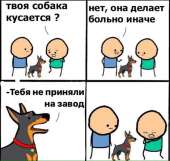 a5umZVwGco.jpg