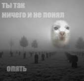 0085-2KpdsZZO7WQ.jpg