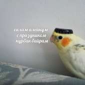 0150-MlBI9euSxtQ.jpg
