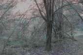 0600-3H1MeswcTmk.jpg
