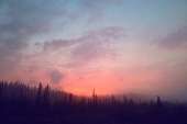 0903-IfFfLxuek0o.jpg