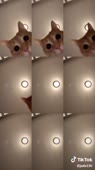 2c718f5d214627e4d8af92484c6f8d93.mp4