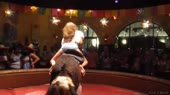14521058696690.webm