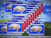 15690950803830.webm