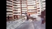 14594525021561.webm