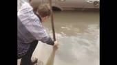 14790495199992.webm