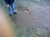 14793632473070.webm