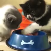 найн.mp4