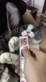 15686541230900.webm