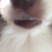 аф.mp4