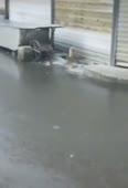 с крыши.mp4