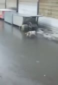 с крыши реверс.webm