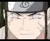 15677372767730.webm
