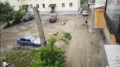 15639608304820.mp4