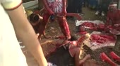 15689201374520.mp4