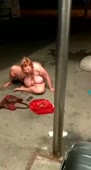 15634527144230.mp4