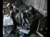 15567089222270.webm