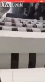 15539282904090.webm