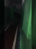 15637602499460.webm