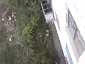 14762228452170.webm