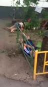 15135138044290.webm