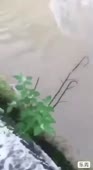 клинический куколд.mp4