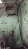 15299395315480.mp4
