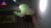 15295147101830.webm