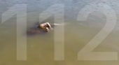 15446958591470.mp4