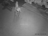 15613846908030.mp4