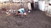 15691891511440.webm