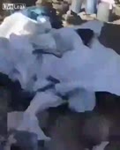 15163017481570.mp4