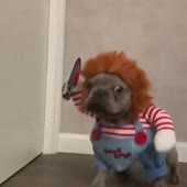 video2019-09-2921-06-03.mp4