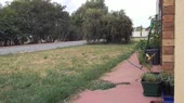 15696811149230.webm