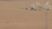 15602433664890.webm