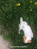 bonitochka7.webm