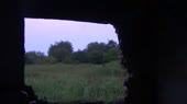 15565442804910.webm