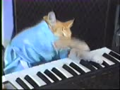 15651954712410.webm