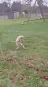абу.mp4