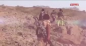 15594784022593.webm