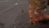 15645707698750.webm