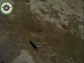 15523361411177.webm