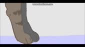 15535231940830.webm