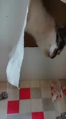 15539893027880.mp4