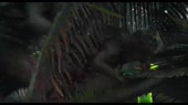 15543934882890.webm