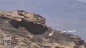 142.webm