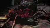 videoplayback (16).mp4