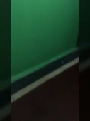 15677612546330.webm