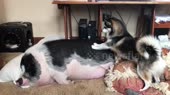 15690690982000.mp4