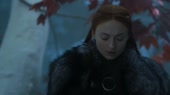 15577859403193.webm